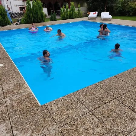 Pensiunea Andreea Guest house Margineni (Margineni)