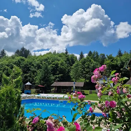 Guest house Pensiunea Andreea