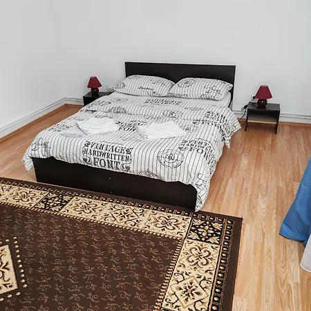 Pensiunea Andreea Guest house Margineni (Margineni)