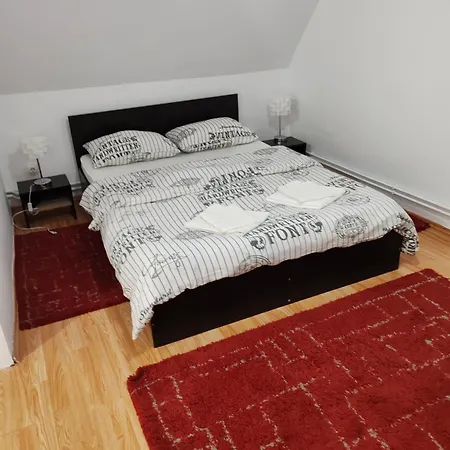 Pensiunea Andreea Guest house