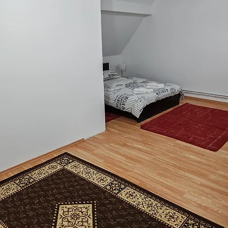 Pensiunea Andreea Guest house Margineni (Margineni)
