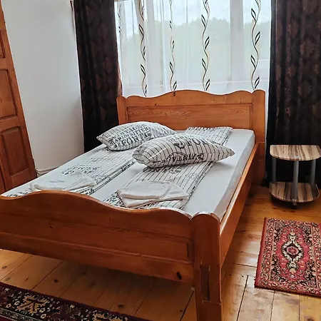 Pensiunea Andreea Guest house