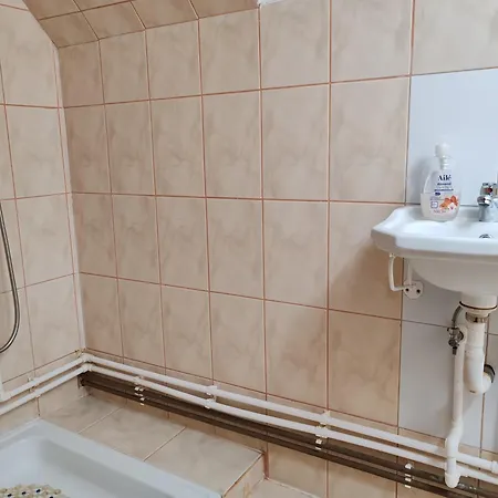 Pensiunea Andreea Guest house