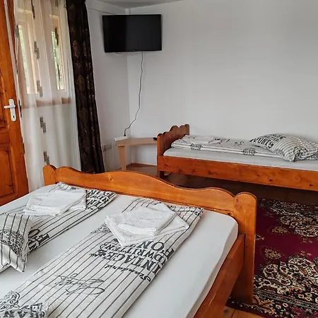 Pensiunea Andreea Guest house *