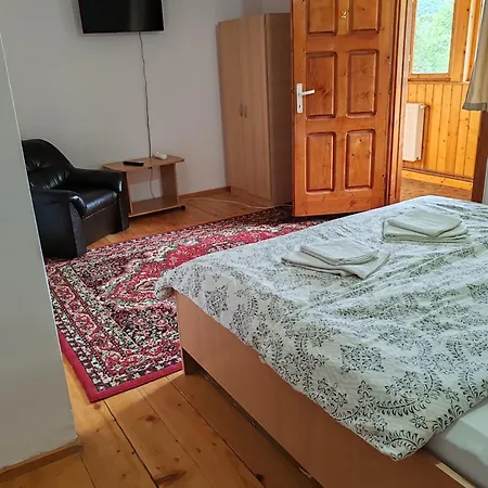 Guest house Pensiunea Andreea