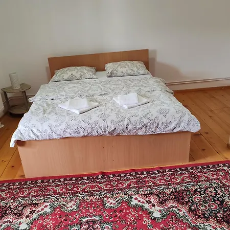 Pensiunea Andreea Guest house