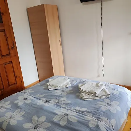 Guest house Pensiunea Andreea Margineni (Margineni)