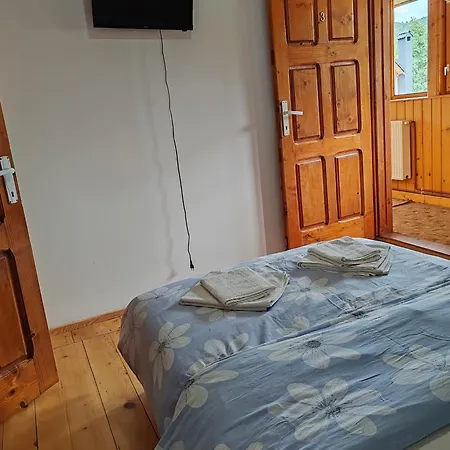 Guest house Pensiunea Andreea Margineni (Margineni)