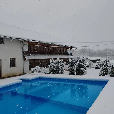 Pensiunea Andreea Guest house Margineni (Margineni)